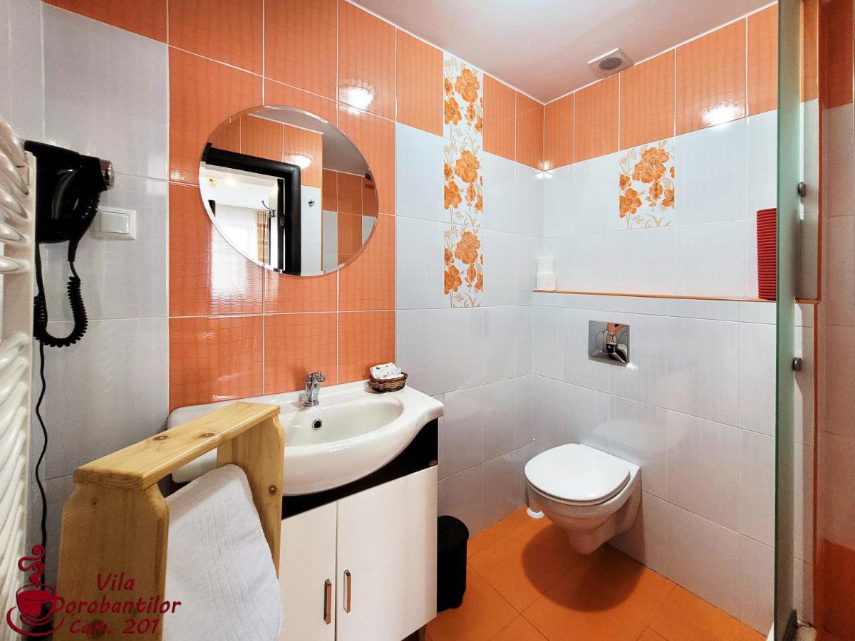 Vila Dorobantilor Cluj-Napoca Exterior foto